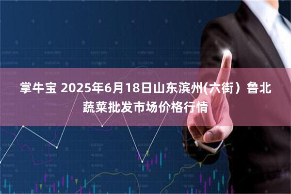掌牛宝 2025年6月18日山东滨州(六街）鲁北蔬菜批发市场价格行情