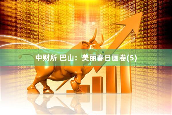 中财所 巴山：美丽春日画卷(5)